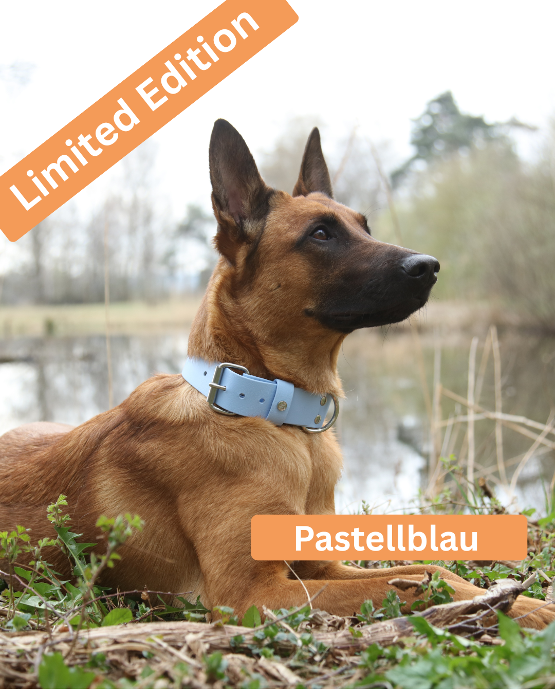 Hundehalsband BioThane®