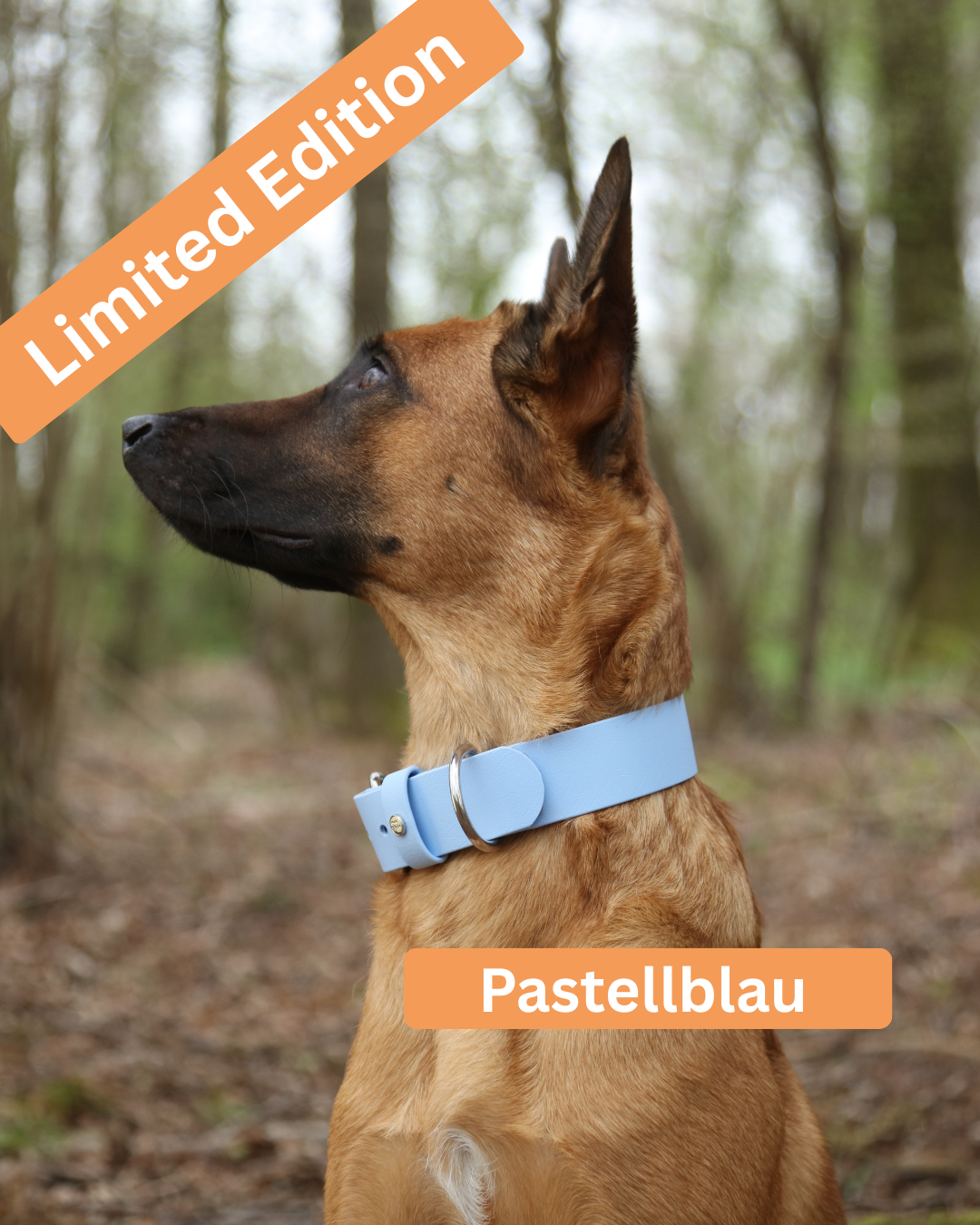 Hundehalsband BioThane®