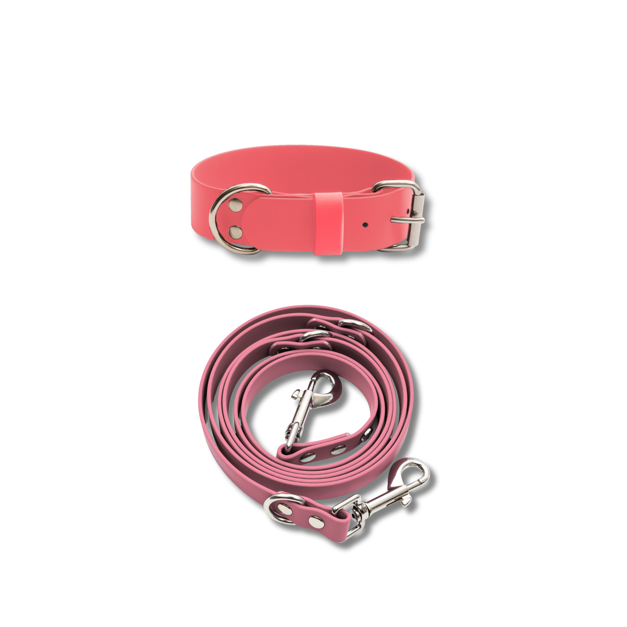 Hundehalsband & Leine-Set, 38mm