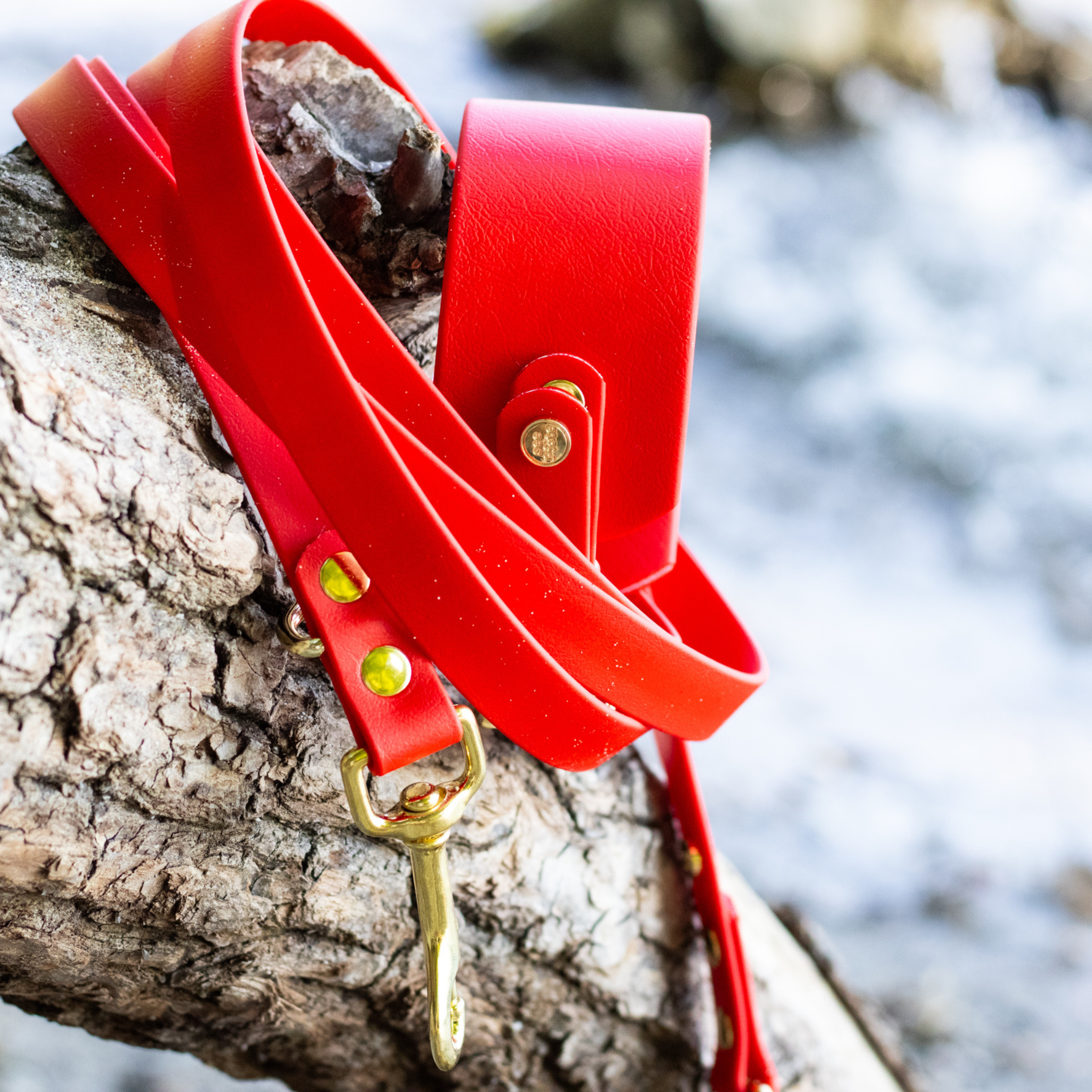 Windhundhalsband BioThane® 38mm