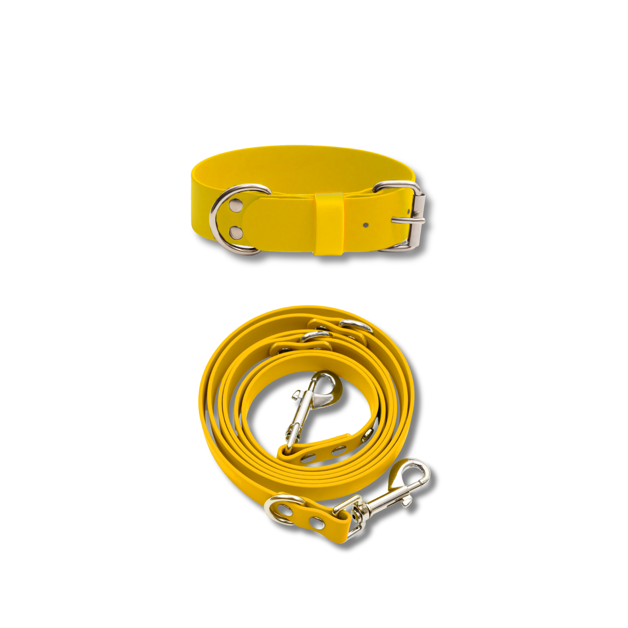 Hundehalsband & Leine-Set, 38mm