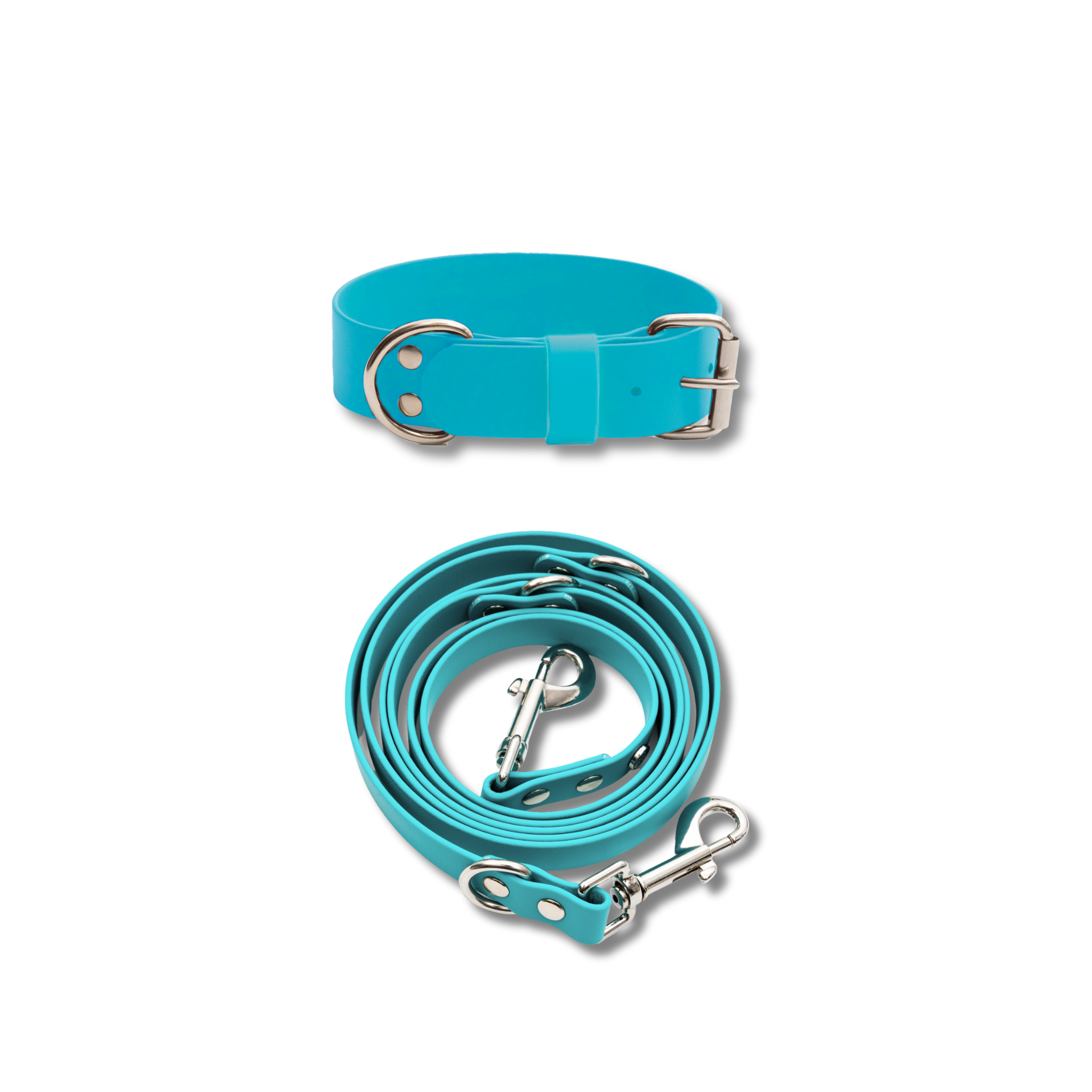 Hundehalsband & Leine-Set, 38mm