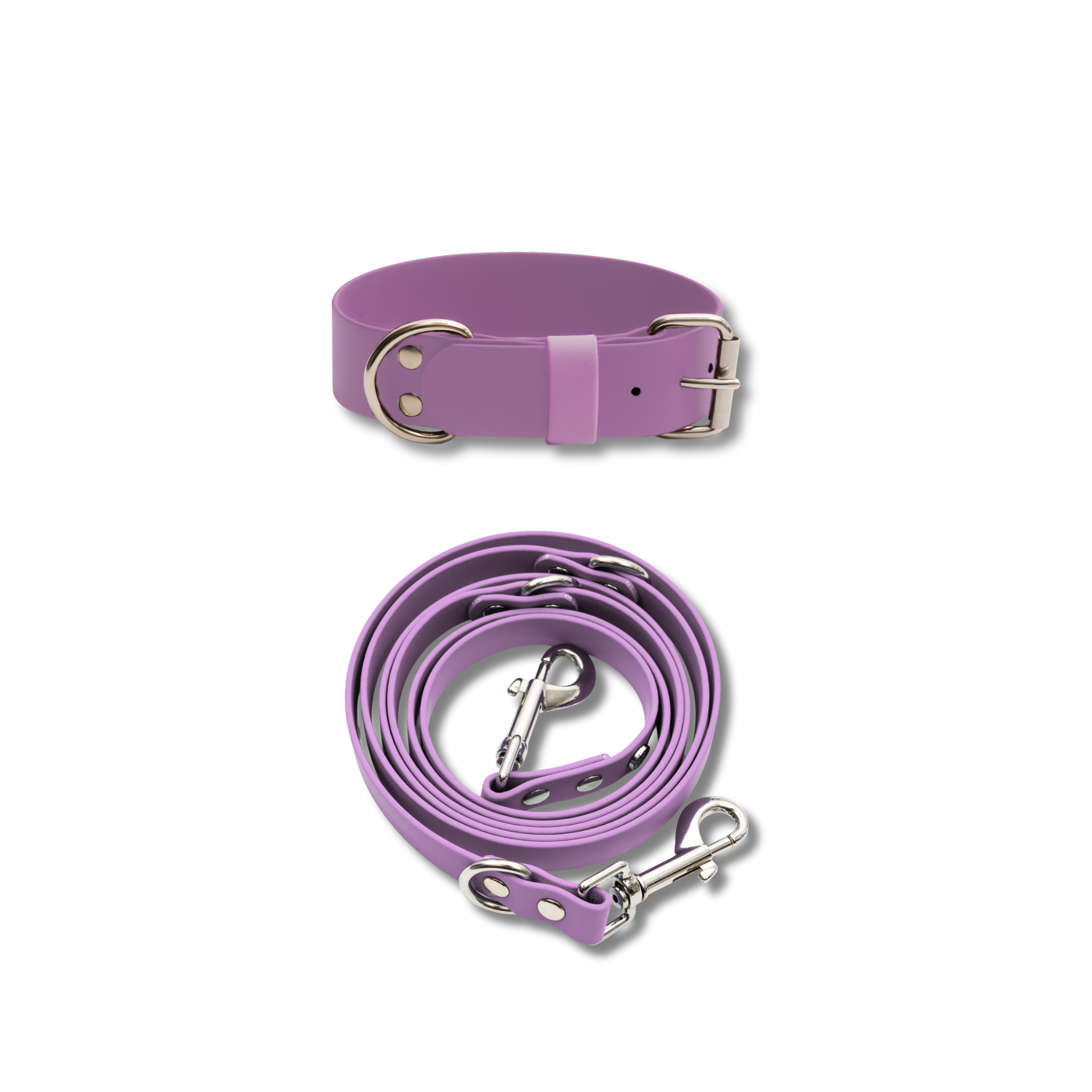 Hundehalsband & Leine-Set, 38mm