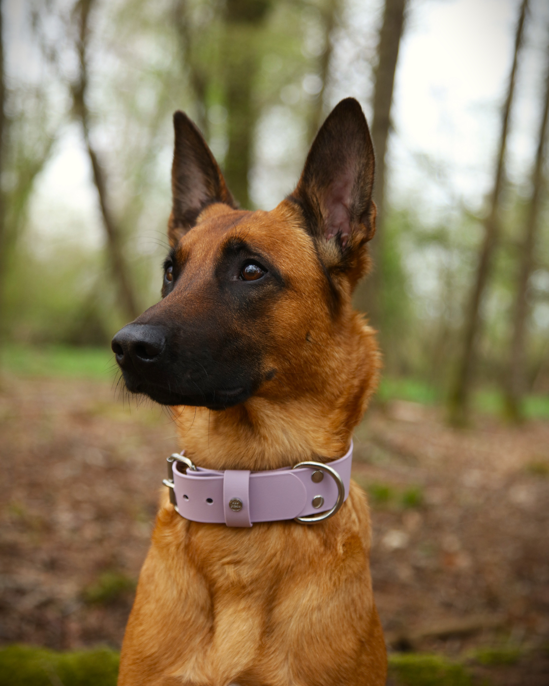 Hundehalsband BioThane®
