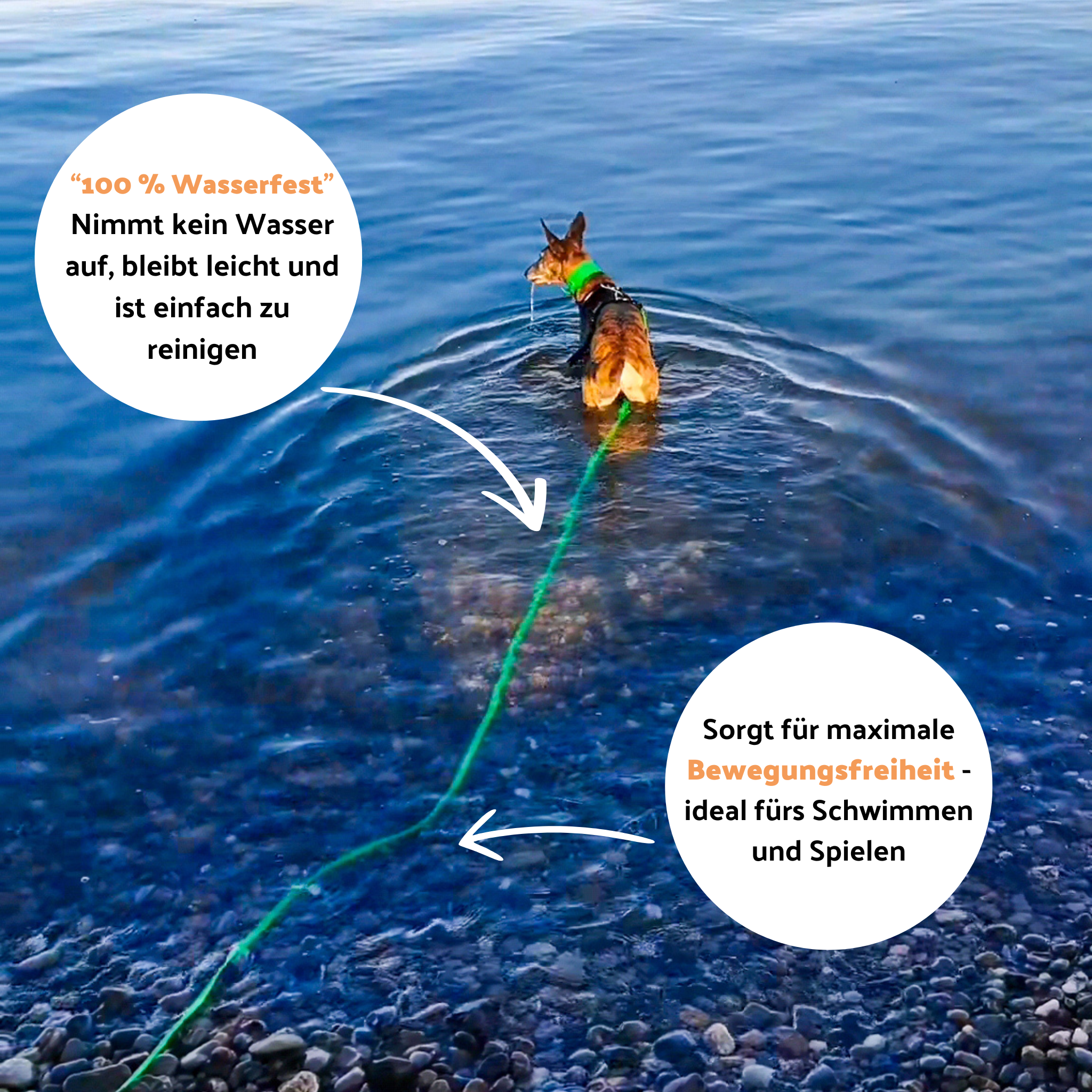 Schleppleine aus BioThane®