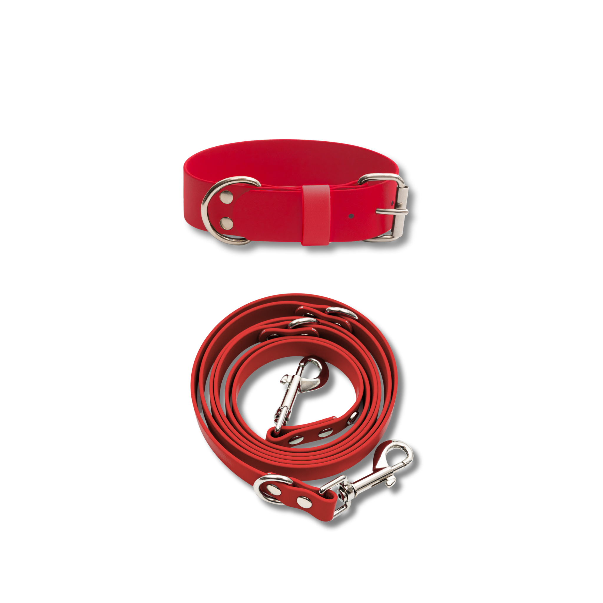 Hundehalsband & Leine-Set, 38mm