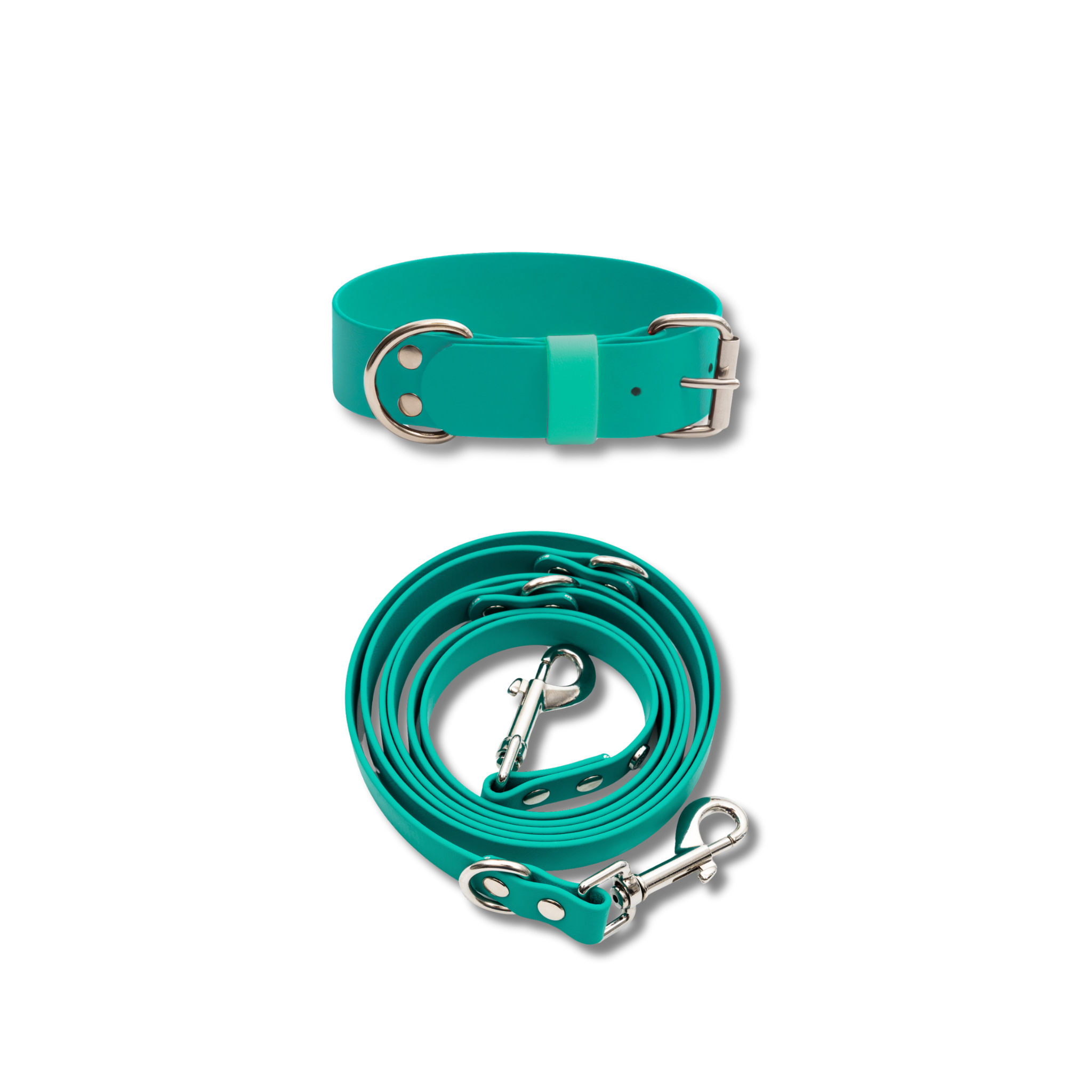 Hundehalsband & Leine-Set, 38mm