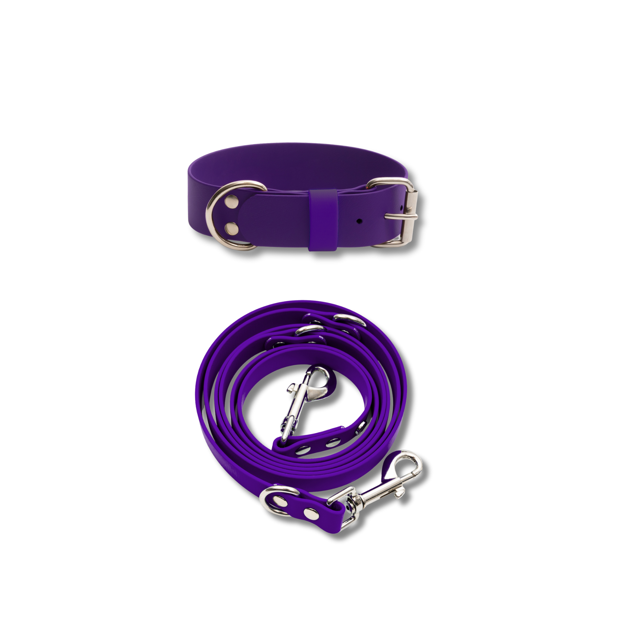 Hundehalsband & Leine-Set, 38mm