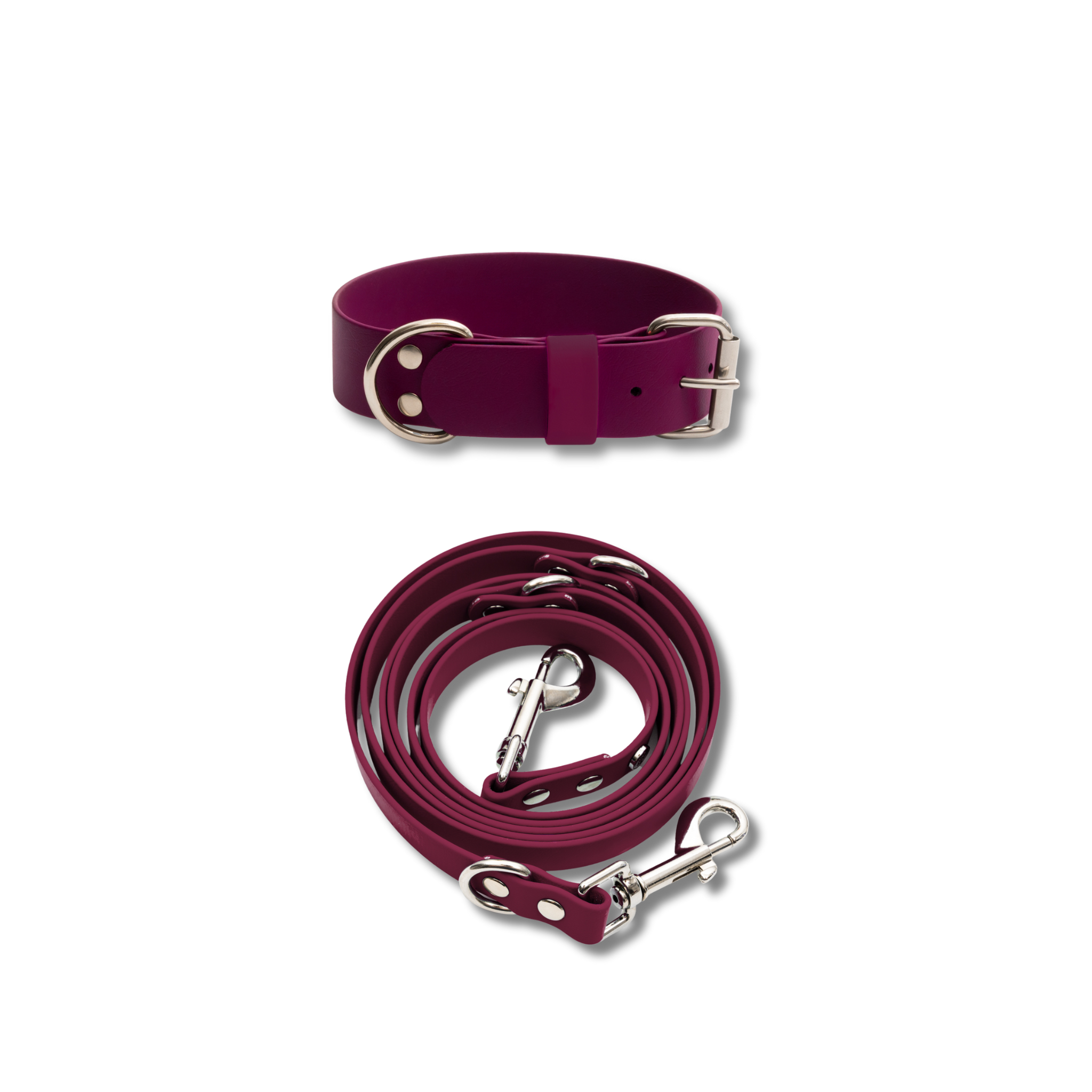 Hundehalsband & Leine-Set, 38mm
