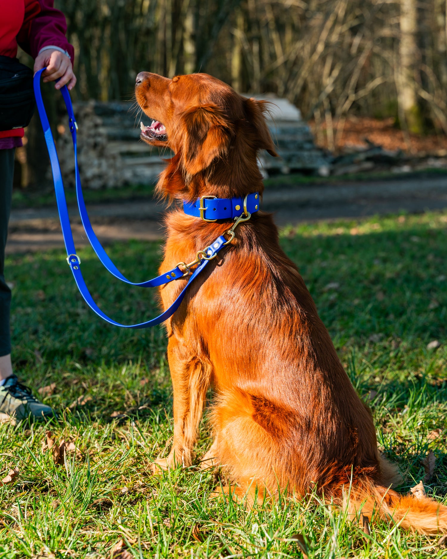 Hundehalsband BioThane®
