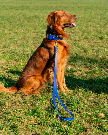 Hundehalsband BioThane®