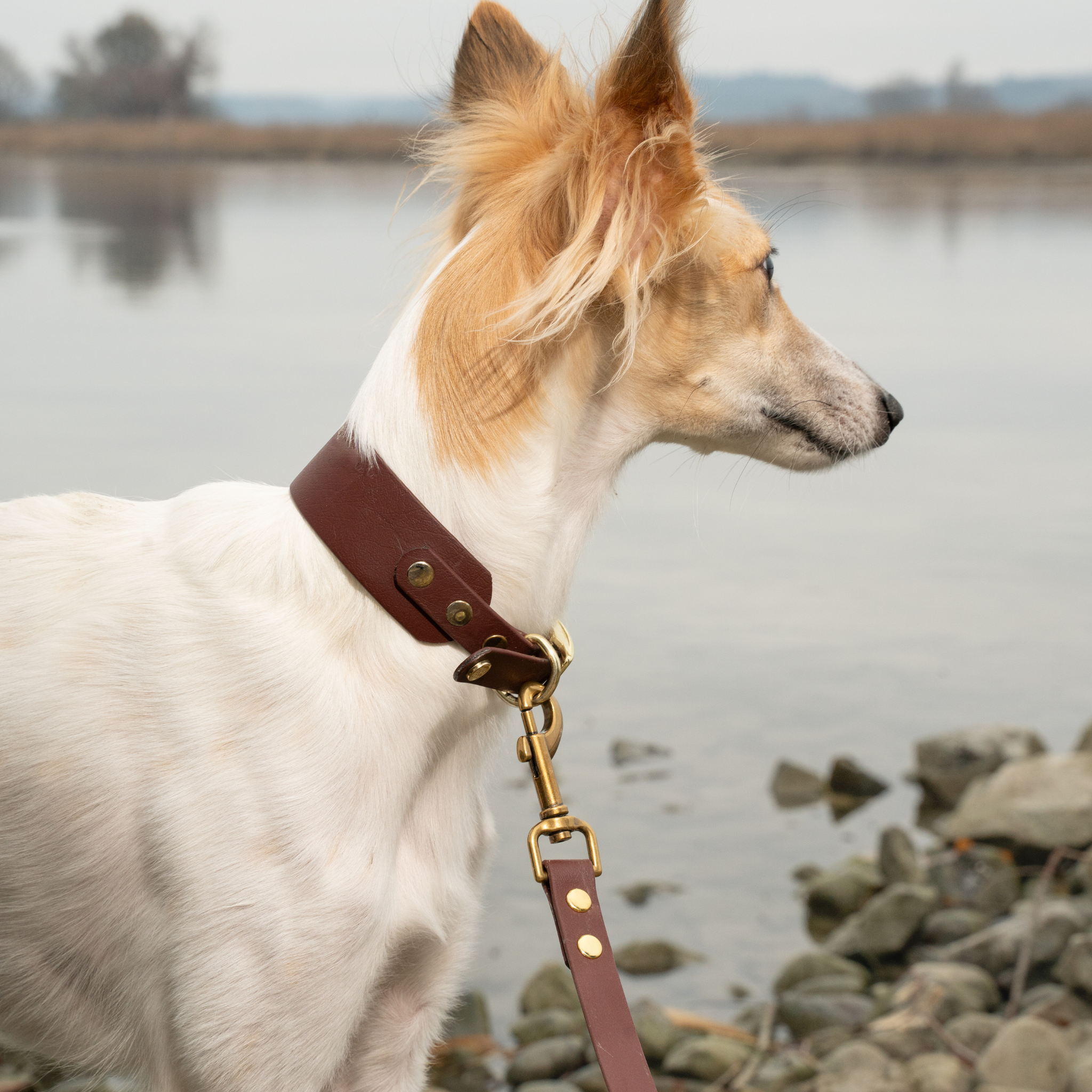 Windhundhalsband BioThane® 38mm