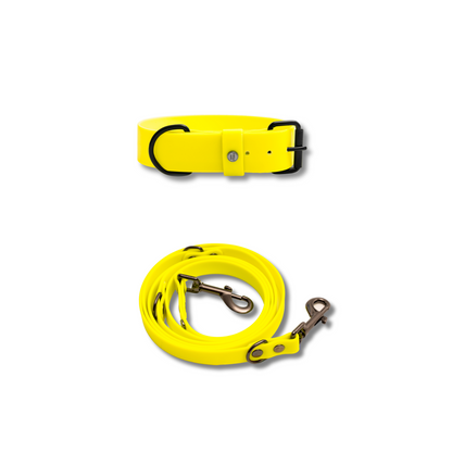 Hundehalsband &amp; Leine-Set, 38mm Neon