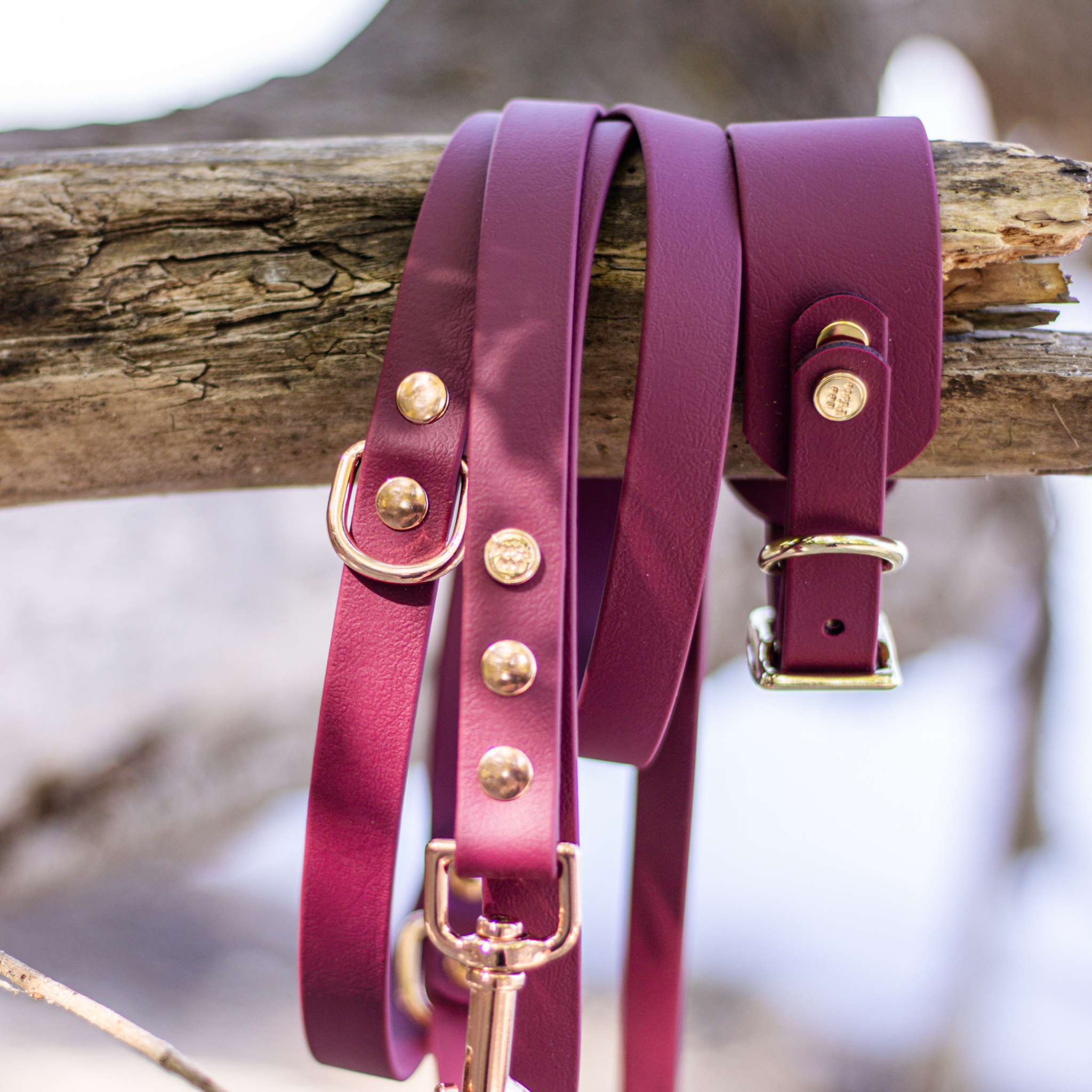 Windhundhalsband BioThane® 38mm