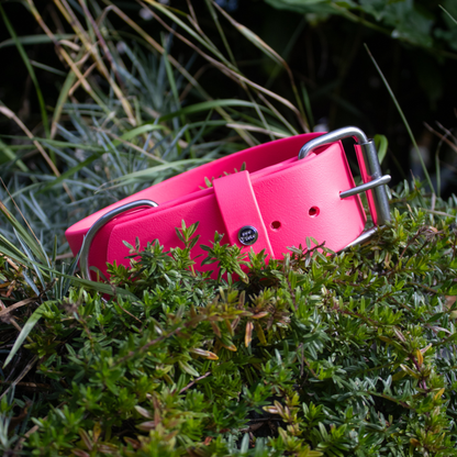 Halsband BioThane® 50mm Super Heavy