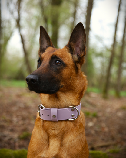 Hundehalsband BioThane®